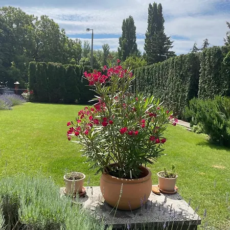 Kapri Vendeghaz Guest house Badacsonytomaj