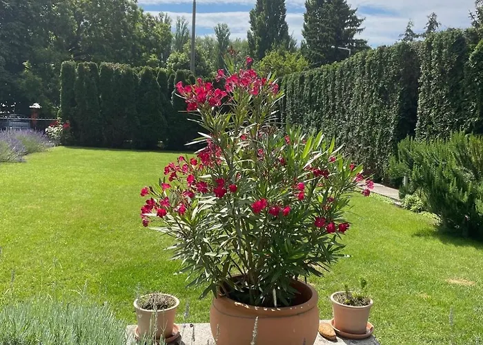 Kapri Vendeghaz Πανσιόν Badacsonytomaj